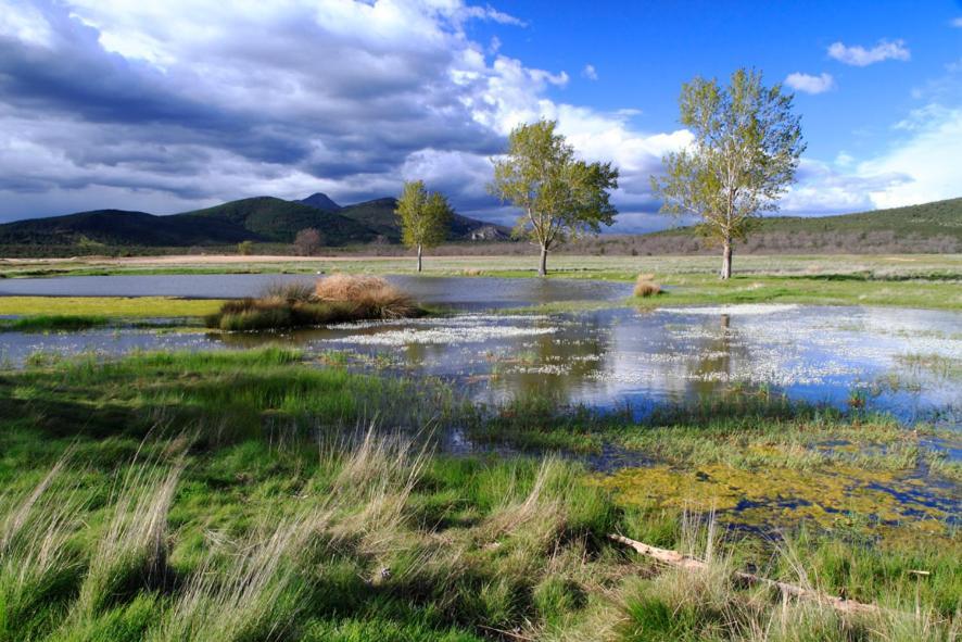 Casa Rural, Spa Y Restaurante El Huerto Del Abuelo Almiruete Bagian luar foto